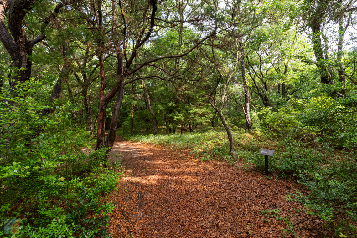 Buxton Woods NC