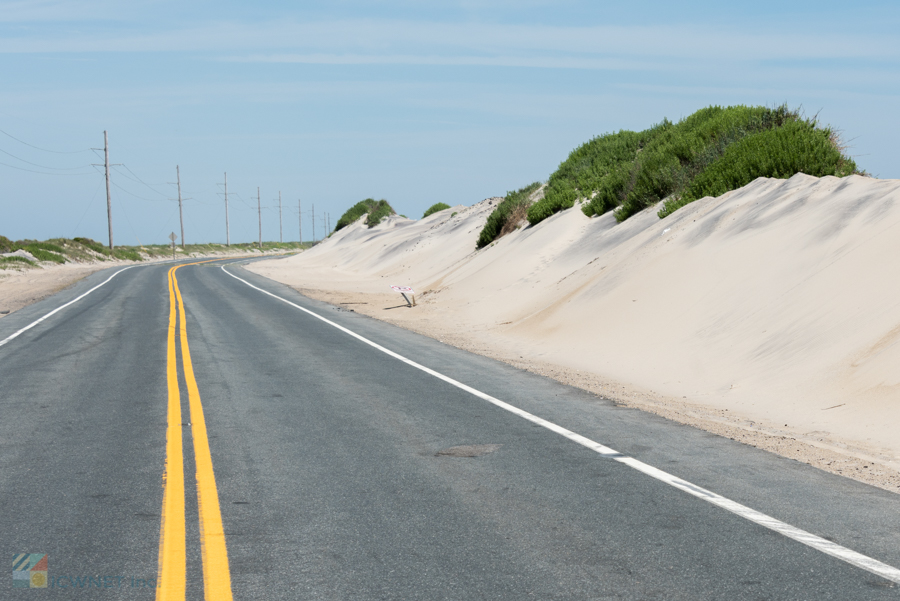 Pea Island Wildlife Refuge