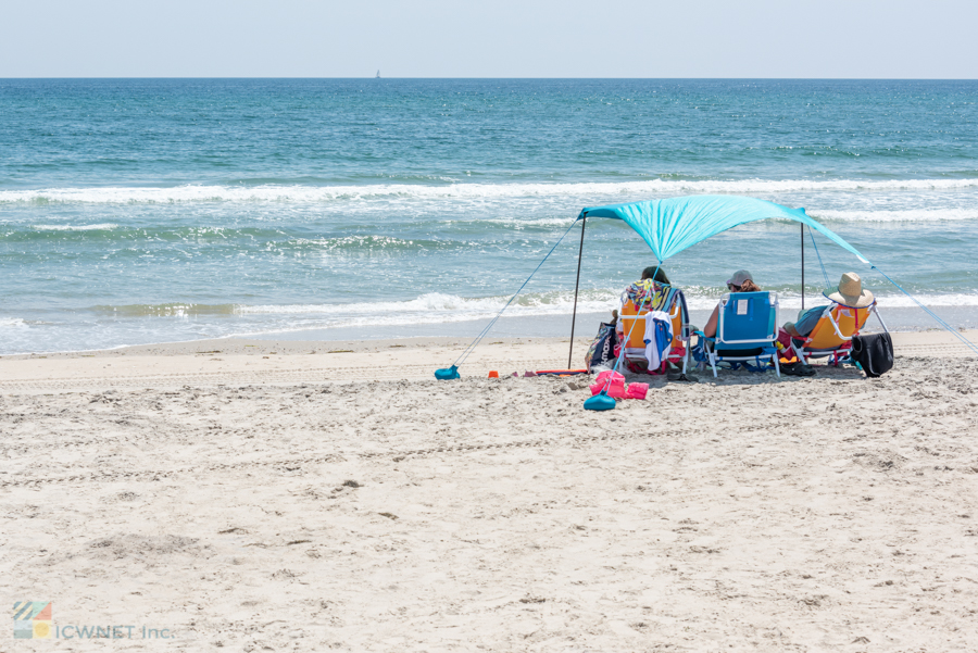 Pea Island Wildlife Refuge