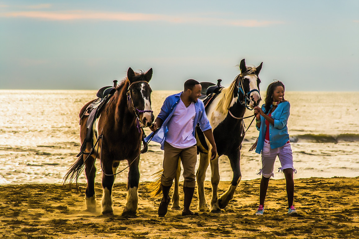 Outer Banks (OBX) Horseback