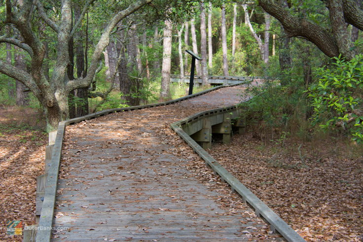 Currituck Banks Coastal Estuarine Reserve