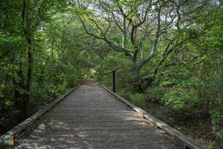 Currituck Banks Coastal Estuarine Reserve