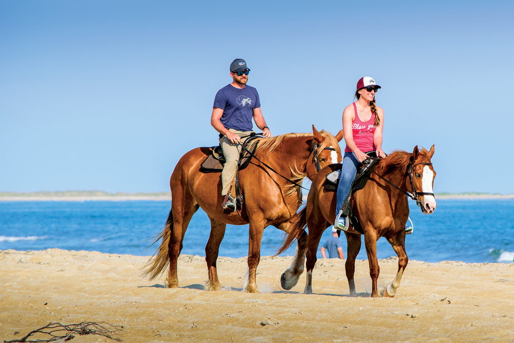 Equine Adventures riding horses along the beach