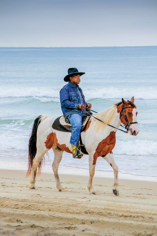 Equine Adventures - A man rides a horse on along the beach