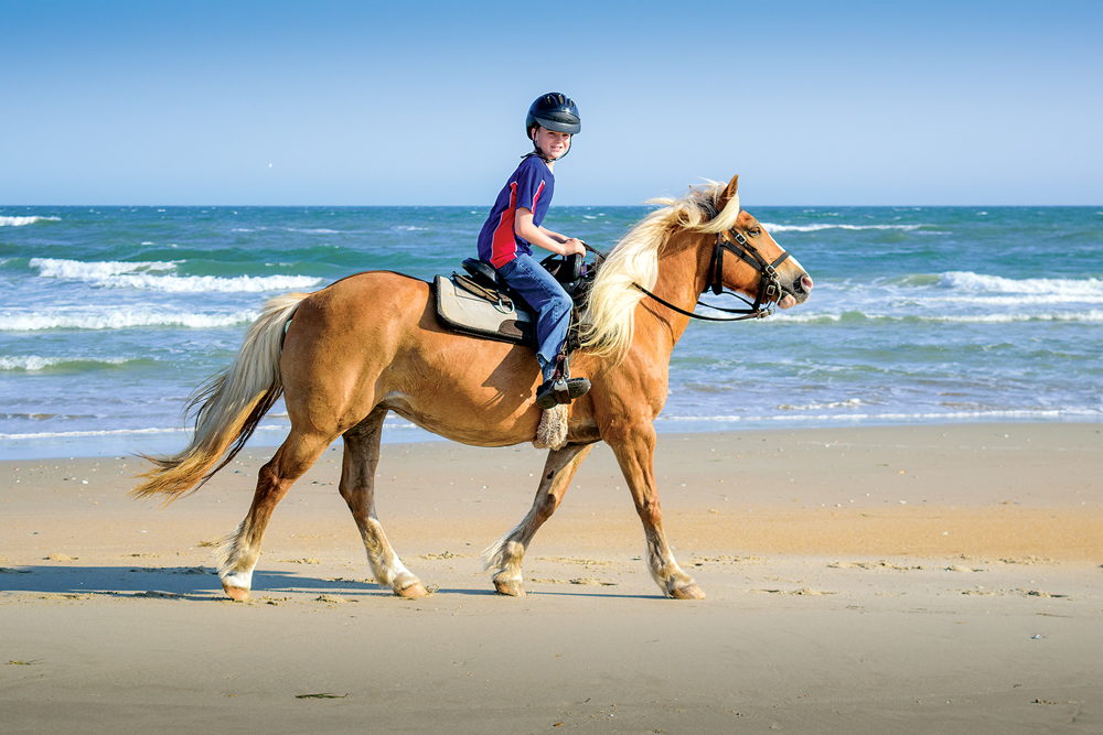 Equine Adventures - a young rider on horseback on the beach