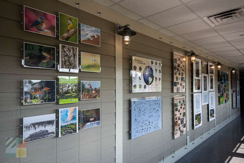 Outer Banks Center for Wildlife Education