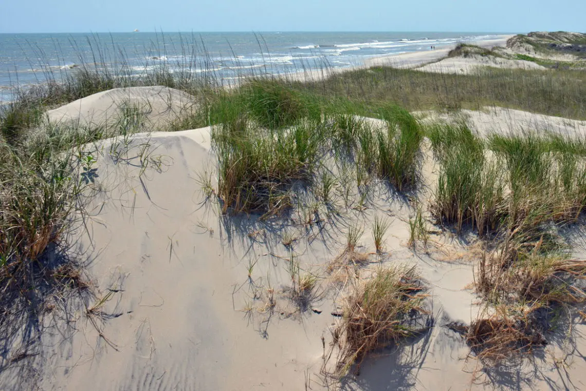 Pea Island National Wildlife Refuge