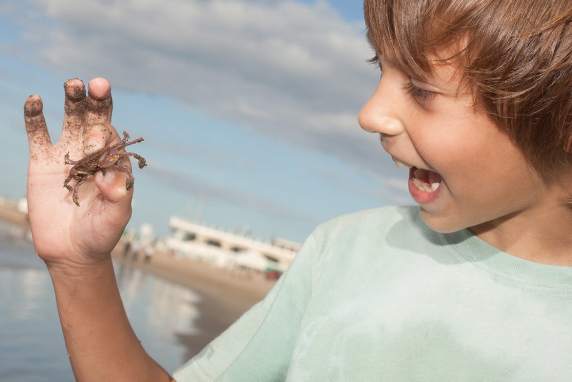 Activities for Kids
