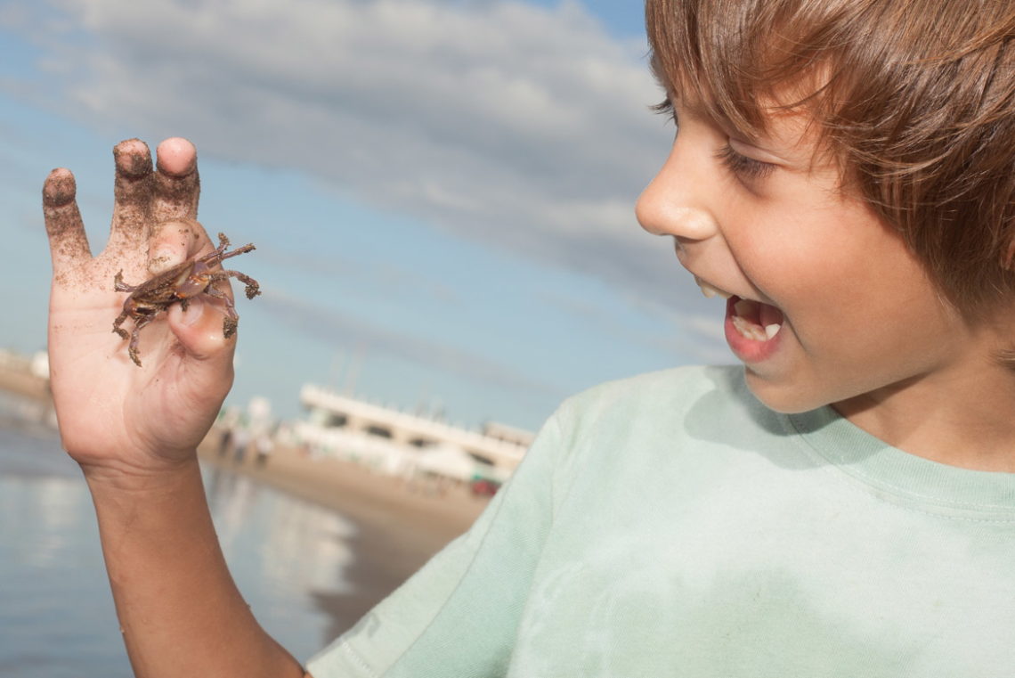 Activities for Kids - Hatteras-NC.com