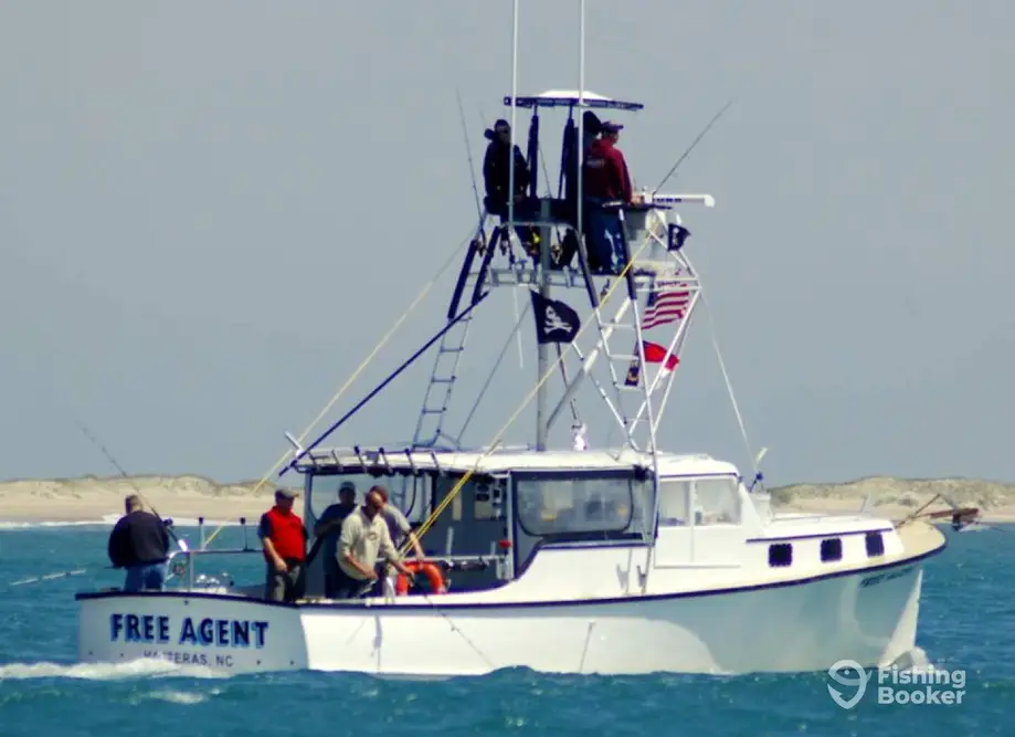 Free Agent Sport Fishing charter image 2