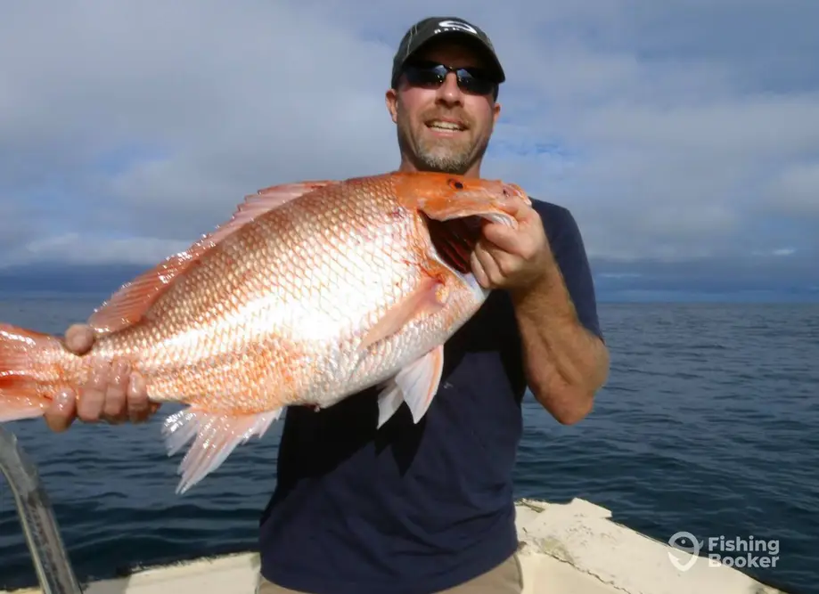 Free Agent Sport Fishing charter image 3