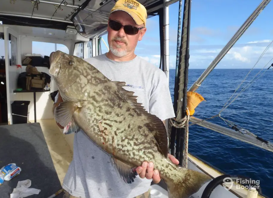 Free Agent Sport Fishing charter image 5