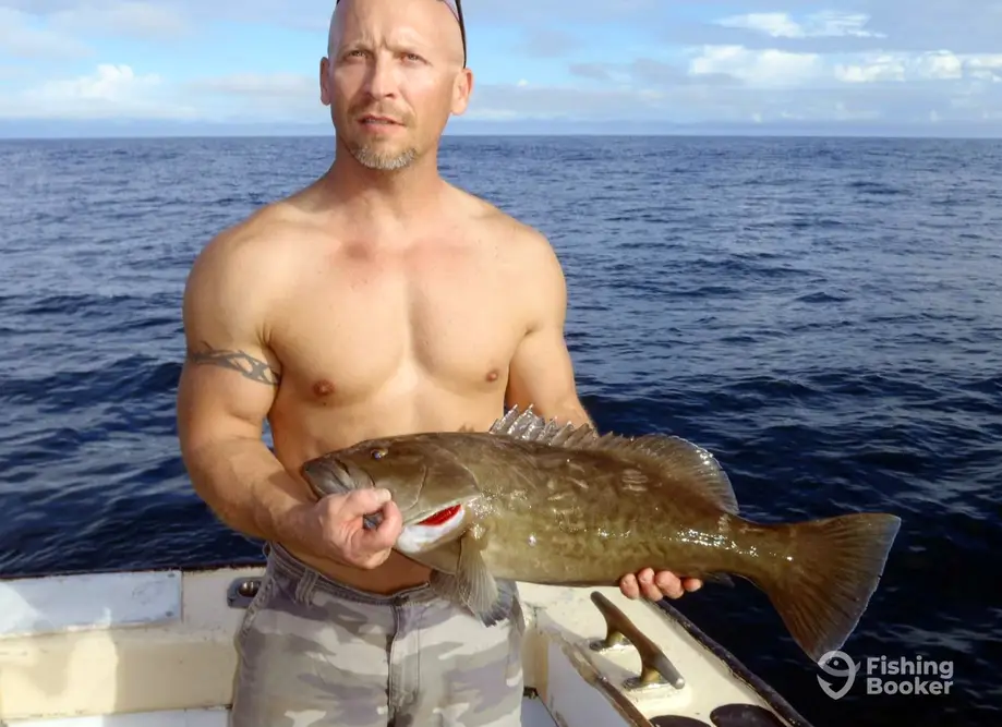 Free Agent Sport Fishing charter image 6