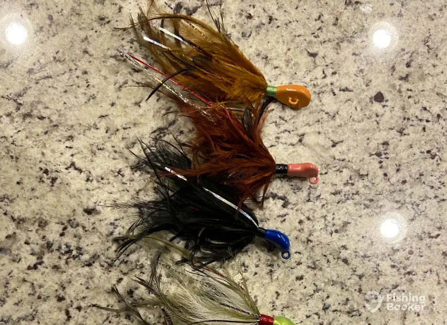 Wann Sportfishing – Hatteras, NC charter image 4