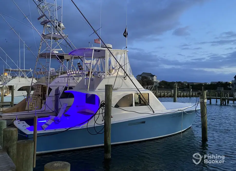 Dunn Deal Sportfishing charter image 2