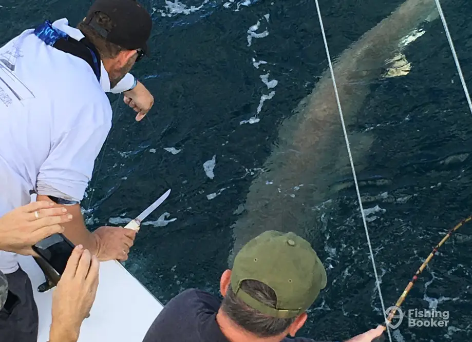 Runaway Sportfishing Charters – Hatteras