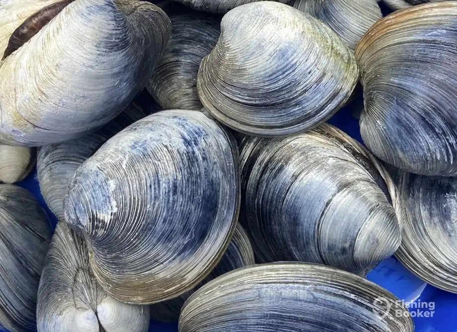 Red Finn Charters charter image 3