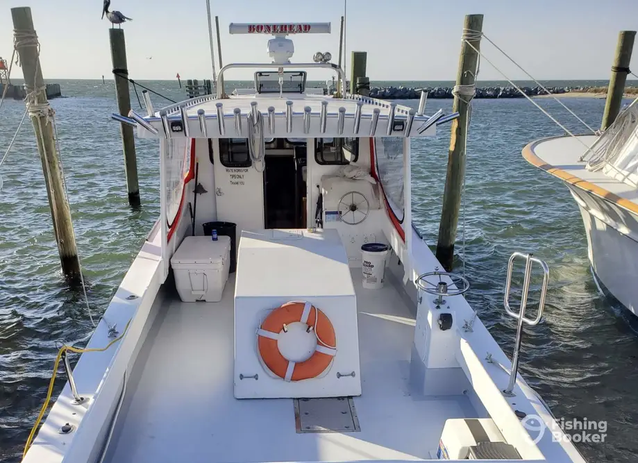 Bonehead Charters