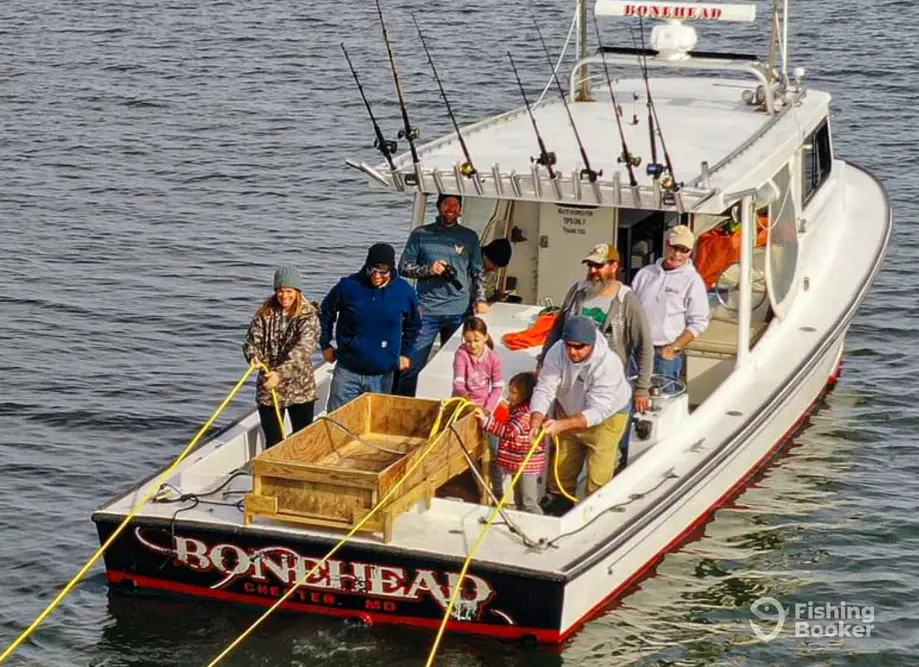 Bonehead Charters charter image 4
