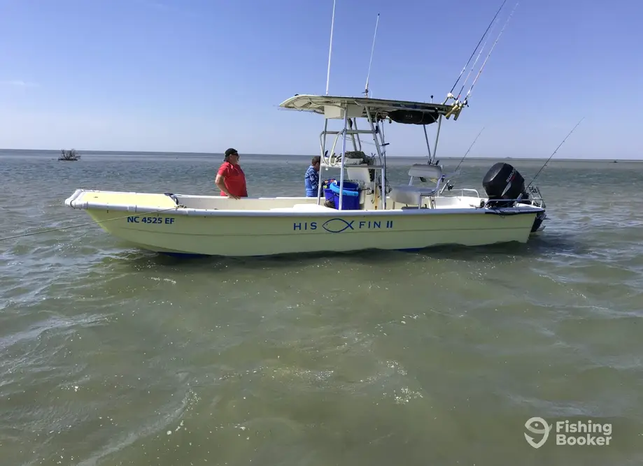 His Fin II