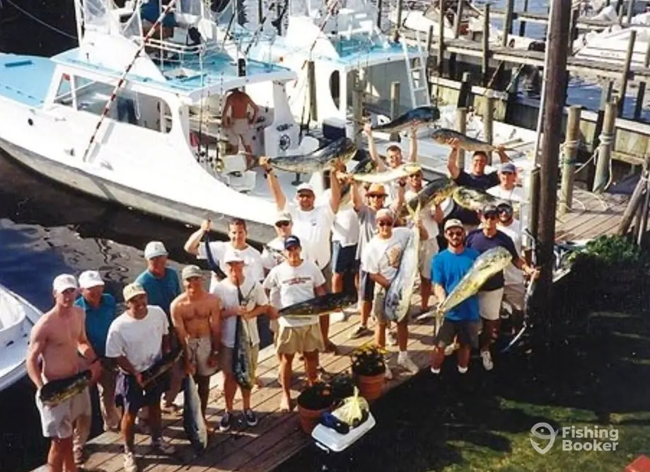 Albatross Fleet – Albatross charter image 2